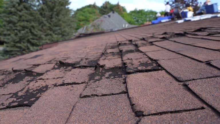 Best Asphalt Shingles Roofing  in Texarkana, TX