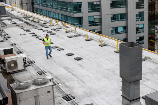 Best Roof Insulation Installation  in Texarkana, TX